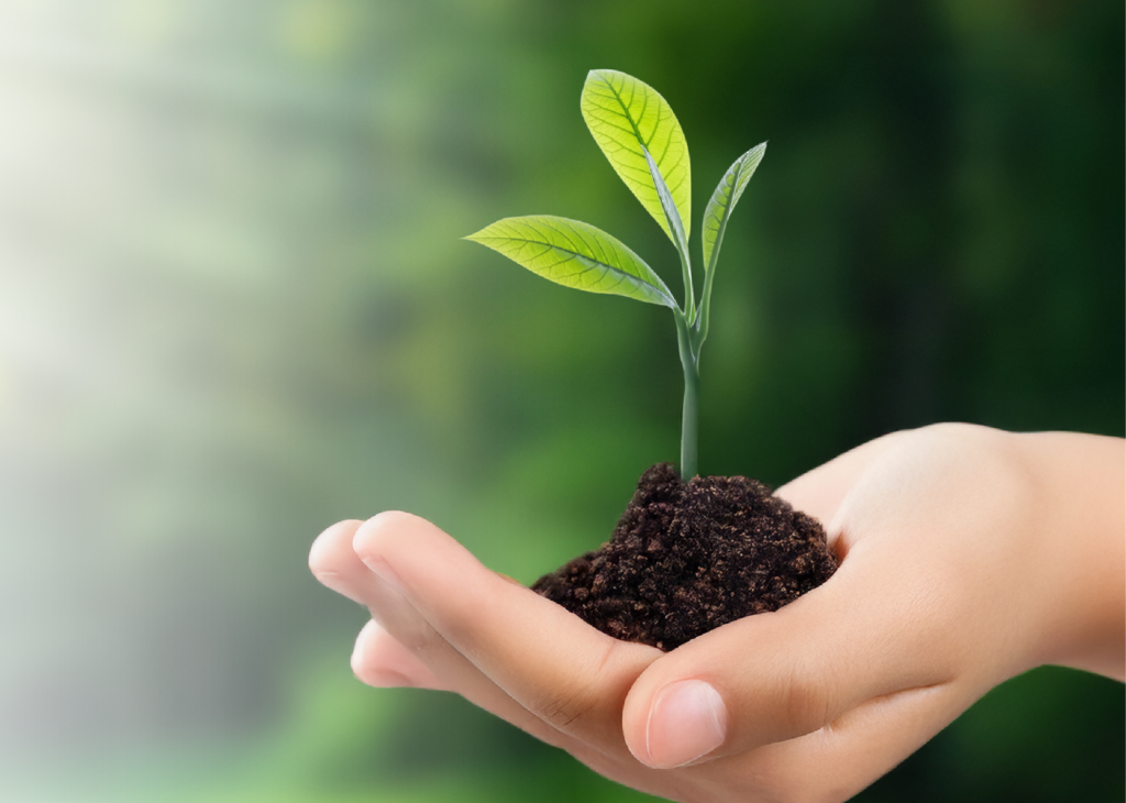 Compromisso com o Futuro: Agroindústria, Educação e Meio Ambiente em Destaque em SC