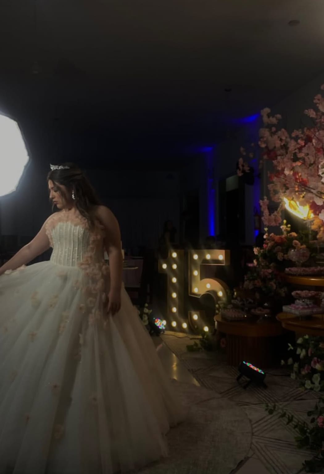 Brilho e Emoção Marcam os 15 Anos de Carolina Auache Pereira da Silva — Um Espetáculo de Elegância e Amor em Navegantes-SC.