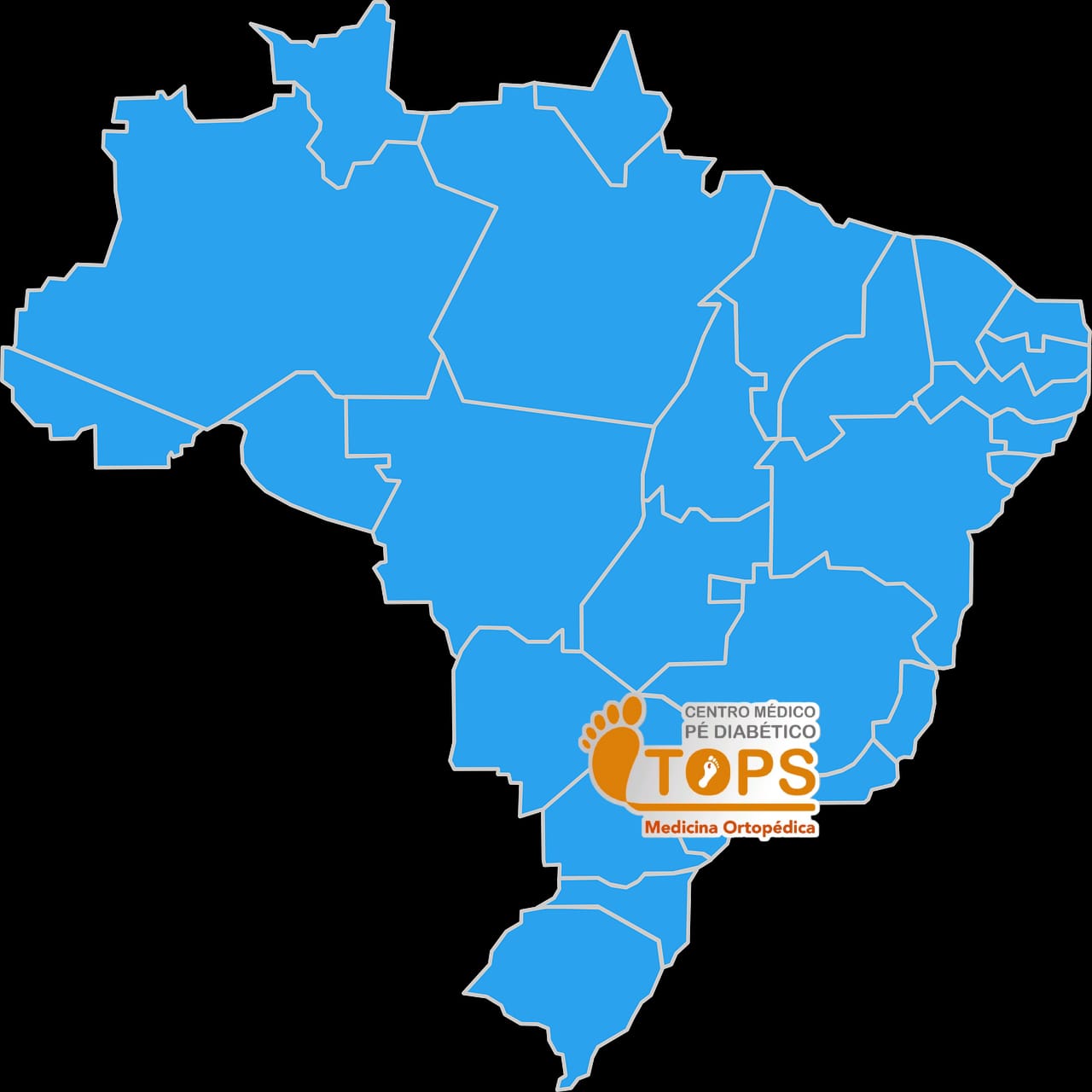 Assistência Integral e Especializada ao Pé Diabético no Brasil.