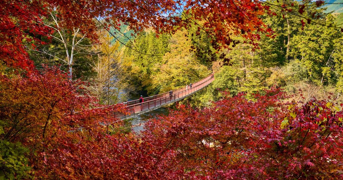 5 dicas essenciais para aproveitar ao máximo uma viagem ao Japão