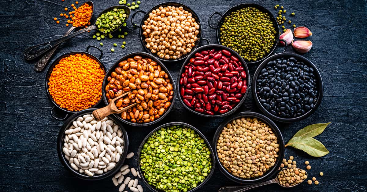 Descubra as principais fontes de proteína vegetal