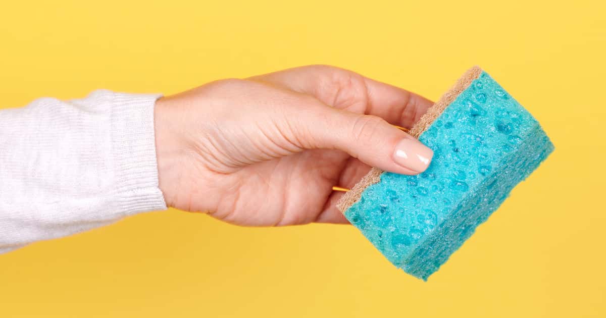 Dicas essenciais para higienizar e armazenar sua esponja corretamente