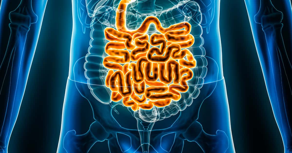 Estudo liga alimentação saudável aos 12 meses à redução do risco de doença inflamatória intestinal