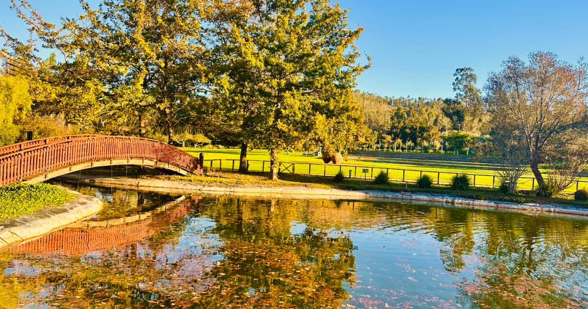 Hotel vinícola no Chile tem passeios incríveis pelo Pacífico
