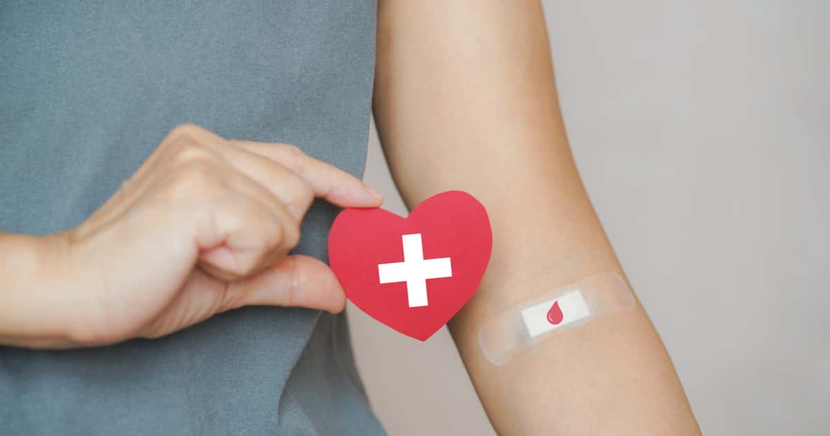 O que acontece com o sangue que você doa? Entenda o caminho até salvar vidas