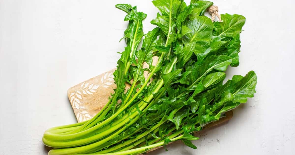 5 benefícios da chicória para a saúde e como inserir a verdura na dieta 