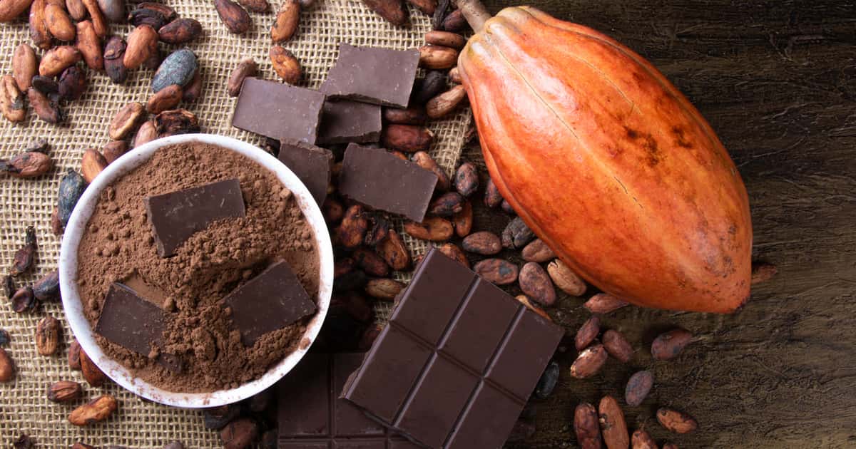 Qual a relação entre o consumo de chocolate amargo e redução da pressão alta