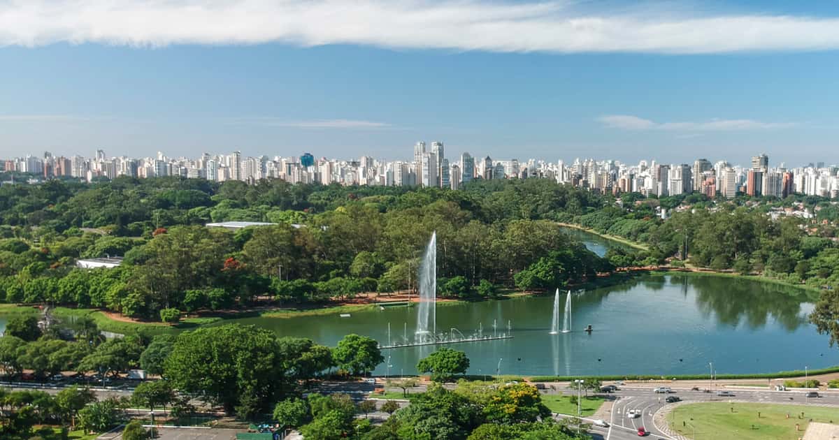 USP identifica gripe aviária no Parque do Ibirapuera, em São Paulo