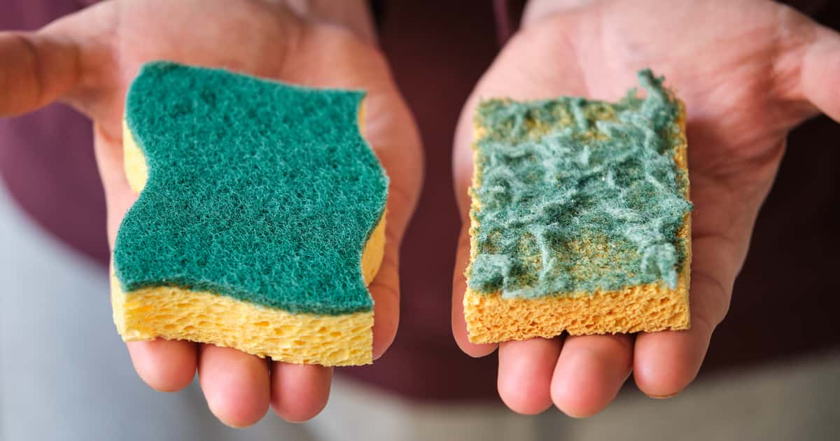 limpeza, armazenamento e trocas ideais